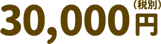 30,000円（税別）